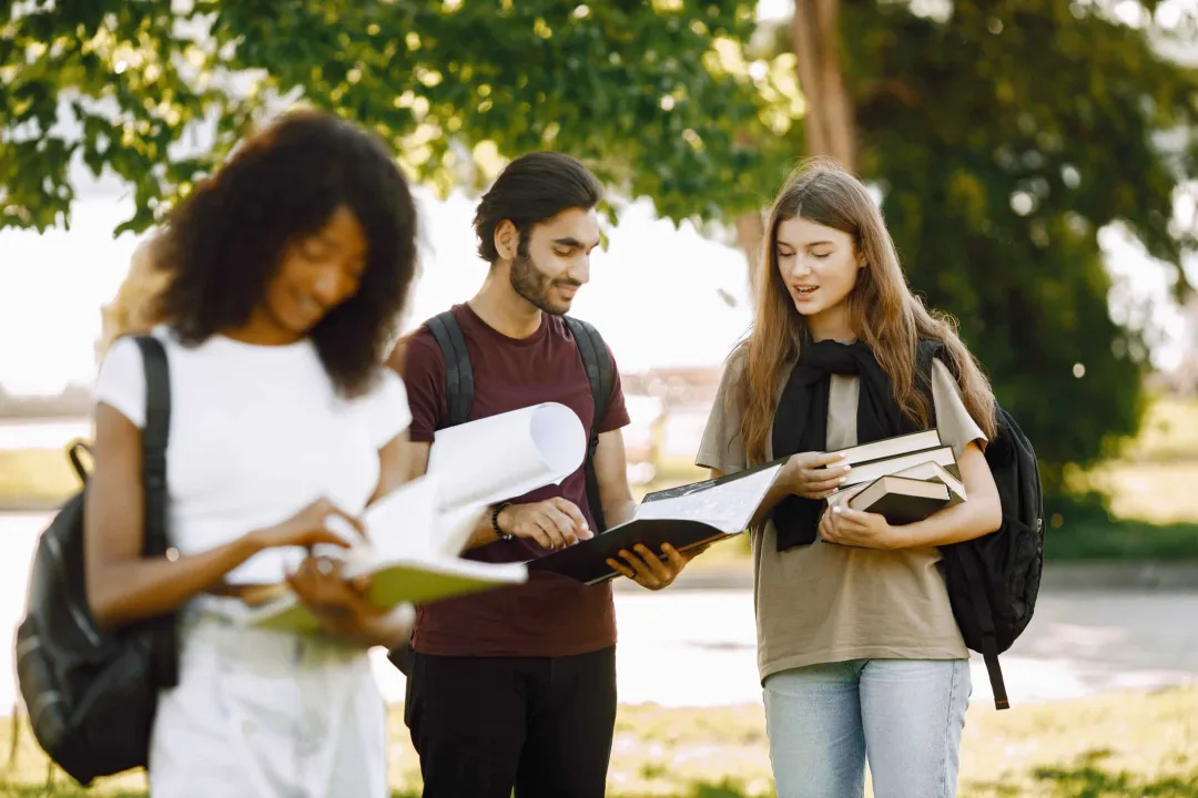 Harvard international enrollment