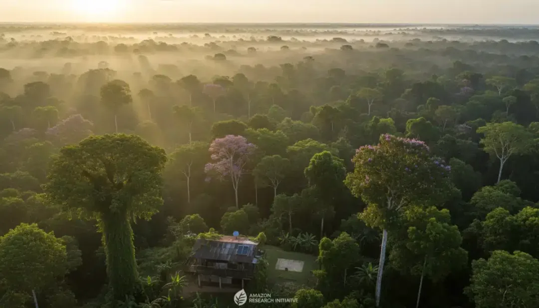 Vista aérea da floresta amazônica ao amanhecer, com uma estação de pesquisa governamental ao fundo.