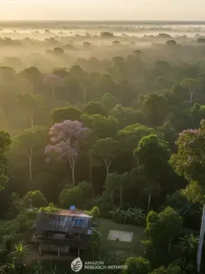 Vista aérea da floresta amazônica ao amanhecer, com uma estação de pesquisa governamental ao fundo.