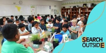 How to integrate environmental education into school curricula